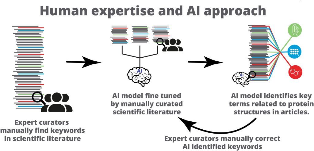 Europe PMC (@europepmc_news) on Twitter photo Can AI and humans collaborate to accelerate discoveries in #Protein research? ๐ค
Our new workflow developed with <a href="/PDBeurope/">Protein Data Bank</a> does just that! Combining expert curation with #AI to identify key protein residues faster!
Read more: buff.ly/3Y1xlxz
#MachineLearning #NLP Can AI and humans collaborate to accelerate discoveries in #Protein research? ๐ค
Our new workflow developed with <a href="/PDBeurope/">Protein Data Bank</a> does just that! Combining expert curation with #AI to identify key protein residues faster!
Read more: buff.ly/3Y1xlxz
#MachineLearning #NLP
