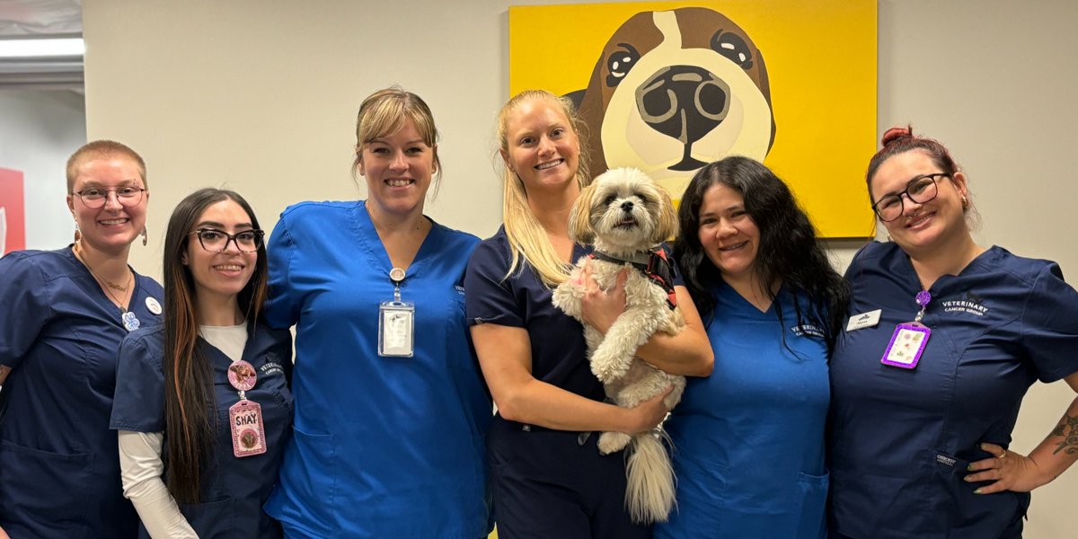 🎉 Happy #VetTechWeek! Today, we celebrate the amazing techs at Veterinary Cancer Group!

"They provide compassionate patient care, are always extremely helpful and knowledgeable, and overall rockstars!"

Thank you, Jennifer, Alexia, Brianna, Alyssa, Shay, &amp; Bo! 💙🐾