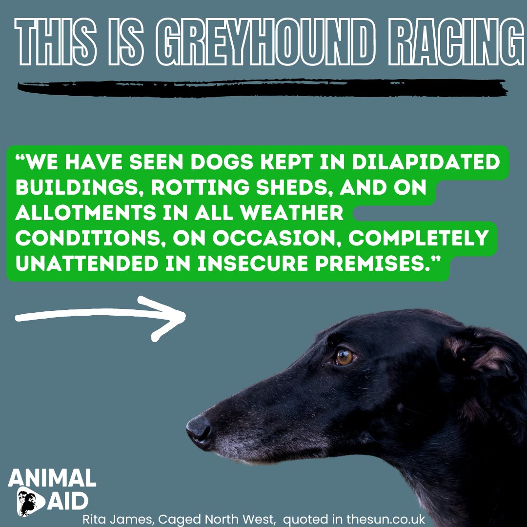 Animal Aid tweet media