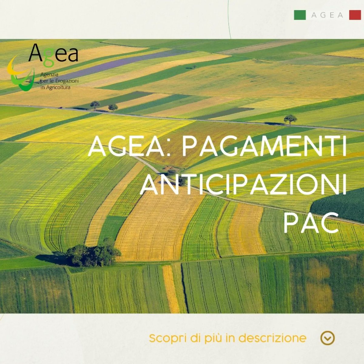 Agea_gov's tweet photo. #Agea: pagamenti anticipazioni #PAC
#1MILIARDO e #300MILIONI per 467 mila #aziende grazie alle nuove #tecnologie 

https://t.co/9tPZw3RAB7 https://t.co/4uOxoXbBi0