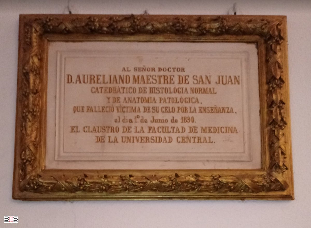 #CallejeandoBMS – PLACA DEDICADA A MAESTRE DE SAN JUAN. Madrid. Aureliano Maestre de San Juan (1828-1890). Médico de origen granadino, experto en anatomía y uno de los impulsores de la histología moderna en España bit.ly/3mM6Wle #ToponimosMedicina pin.it/4bEsiMU