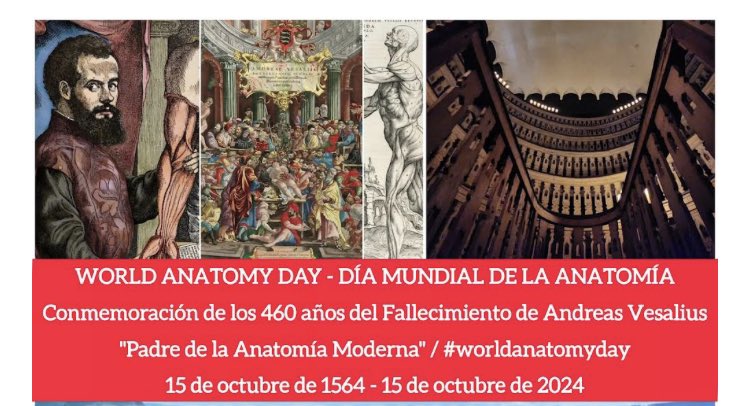 Festejamos el Día Mundial de la Anatomía