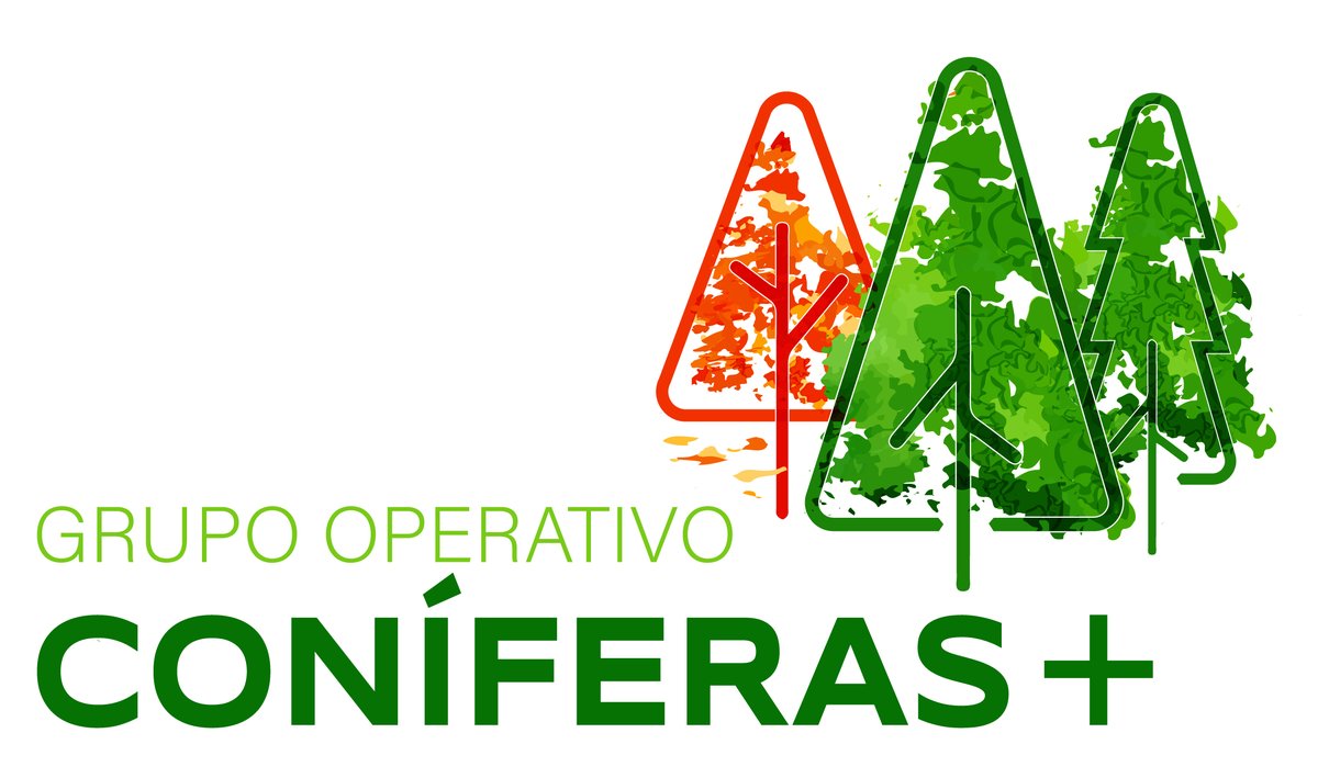 Canal del GO CONÍFERAS+: Grupo Operativo para el estudio de coníferas complementarias a plantaciones forestales afectadas por enfermedades en la cornisa Cantábrica. 🌐 goconiferas.es
#coniferas #pino #pinusradiata