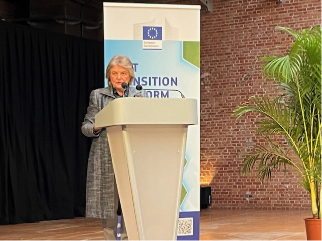 Elisa Ferreira tweet media