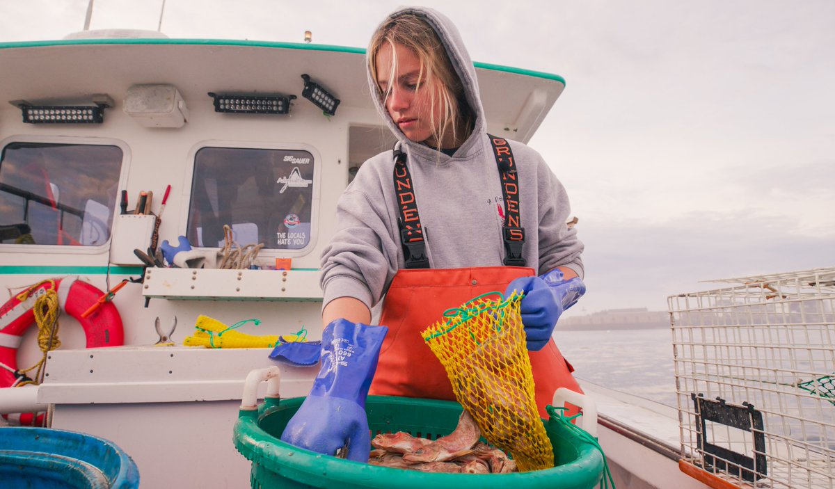 NH Sea Grant (@nhseagrant) on Twitter photo Join us in watching Women on the Water at the New Hampshire Film Festival on October 17th!
This <a href="/NHSeaGrant/">NH Sea Grant</a> documentary tells the stories of six women in New Hampshire who have overcome challenges to establish themselves in the seafood industry.
nhfilmfestival.com/films/women-on… Join us in watching Women on the Water at the New Hampshire Film Festival on October 17th!
This <a href="/NHSeaGrant/">NH Sea Grant</a> documentary tells the stories of six women in New Hampshire who have overcome challenges to establish themselves in the seafood industry.
nhfilmfestival.com/films/women-on…