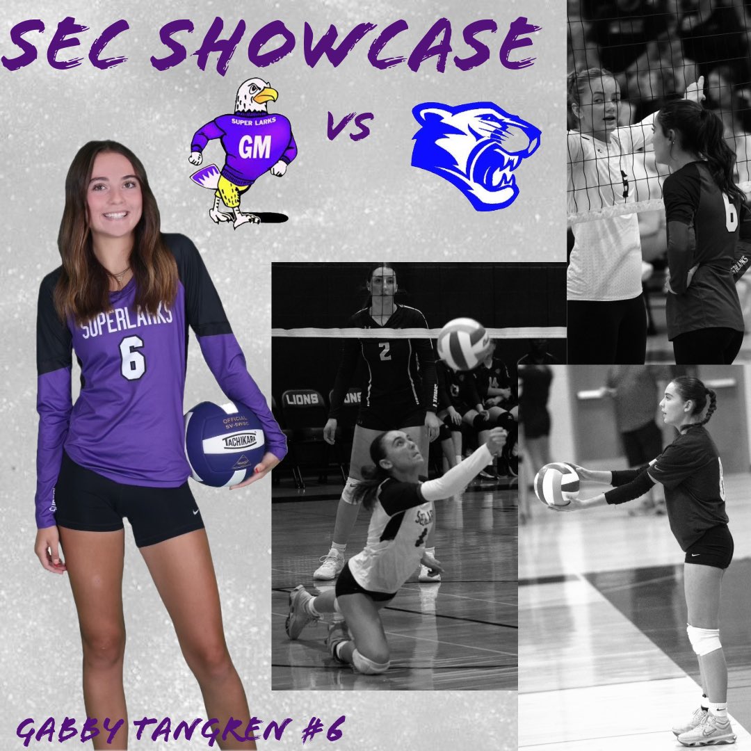 @SuperlarkVolleyball tweet media