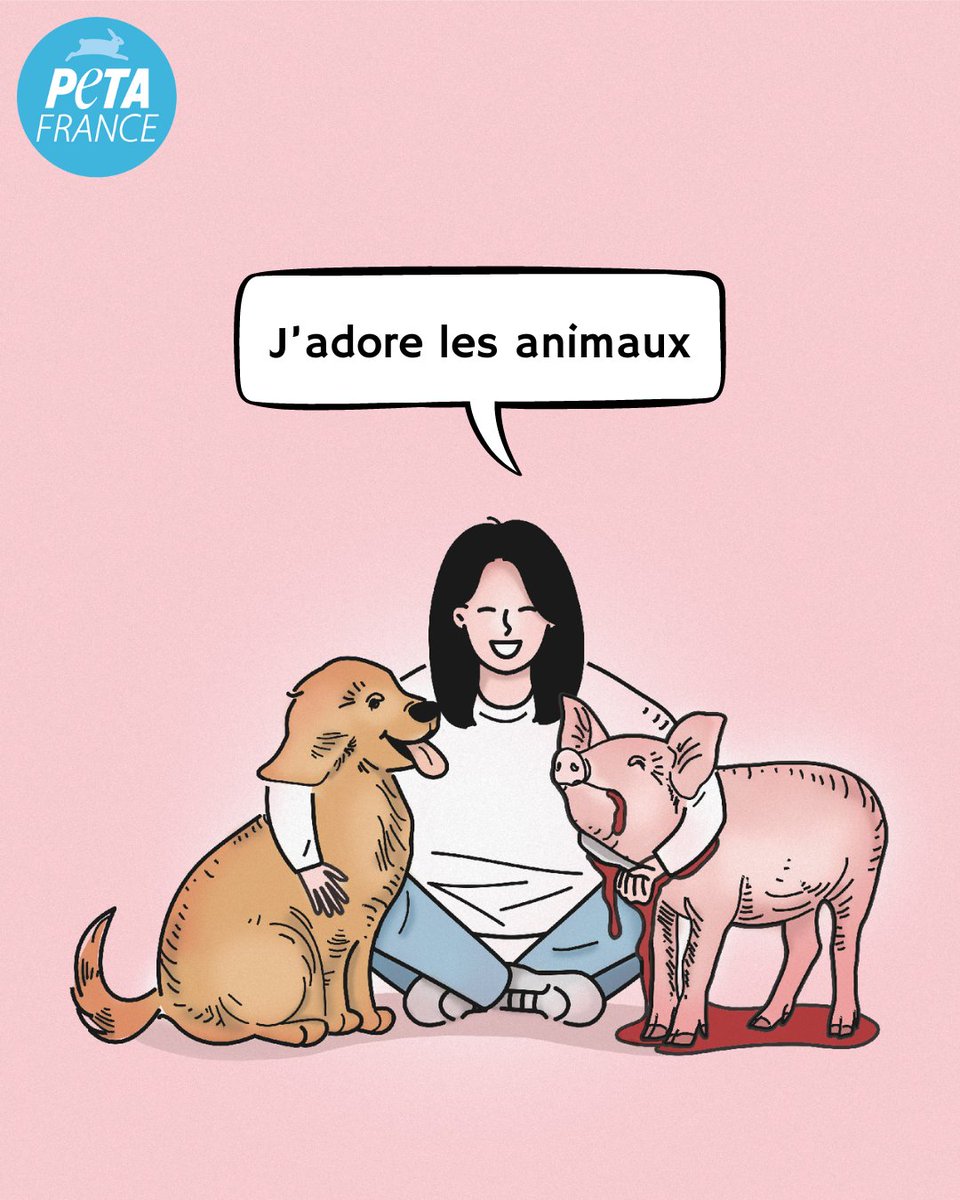 Tuer un animal de compagnie est illégal. Alors pourquoi est-il permis de massacrer les cochons, les vaches, les agneaux et autres "animaux d'élevage" ? Comment peut-on aimer certains animaux et en maltraiter d'autres ? 

Changeons de regard. 👀🐷
Dites #NonAuSpécisme