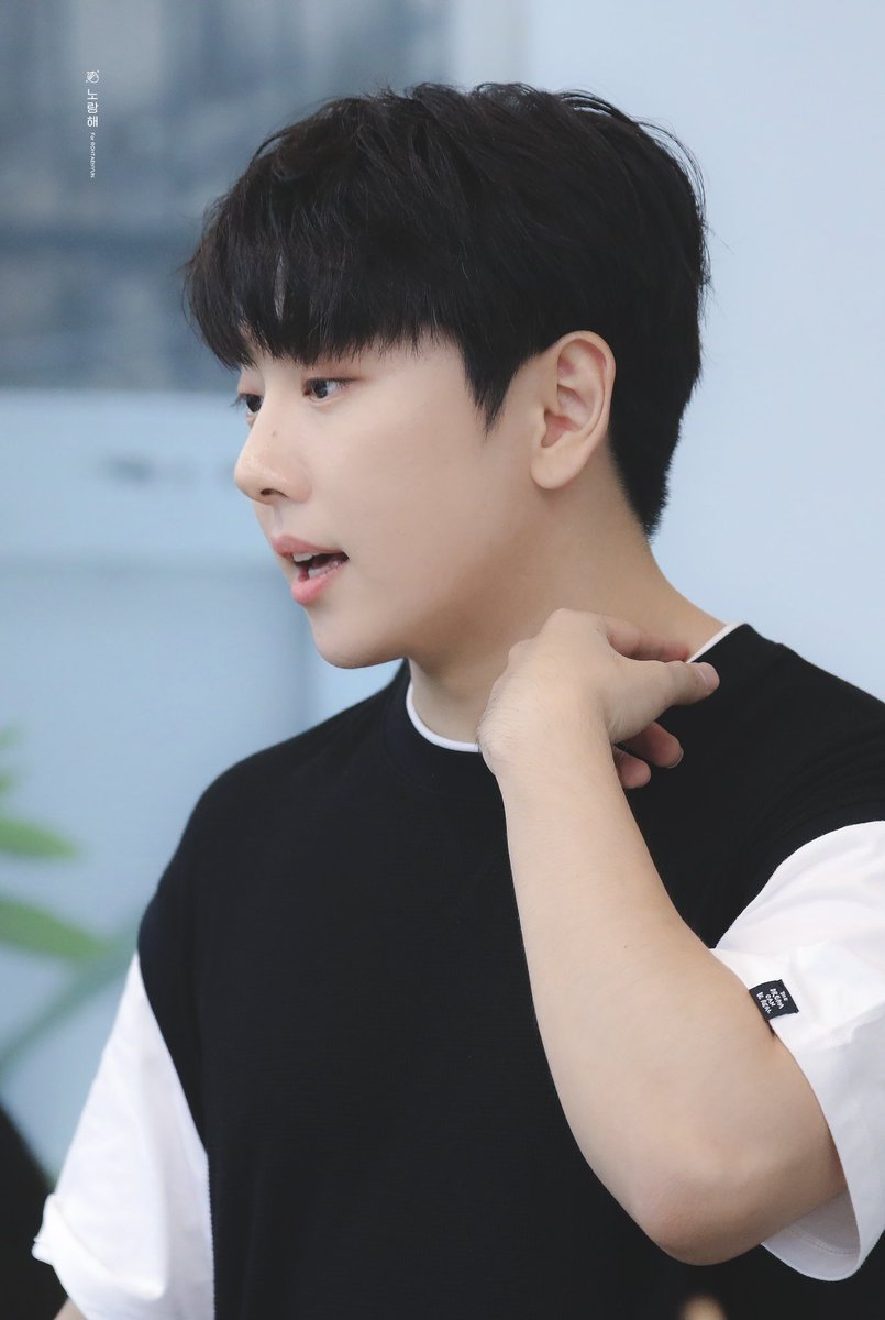 노랑해 tweet media