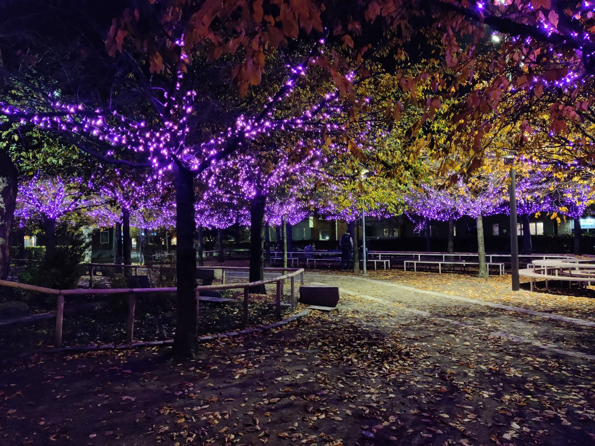 SafeGrowth tweet media