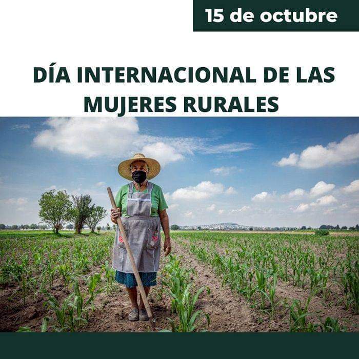 CemarFlor86402's tweet image. Hoy 15 de octubre celebramos el Día internacional de la Mujer Rural . Ellas son guardianas de la naturaleza por nuestro futuro.¡Reciban nuestra más sincera Felicitaciones!. 
#MujerEmpoderada
#LasTunas🇨🇺🇨🇺