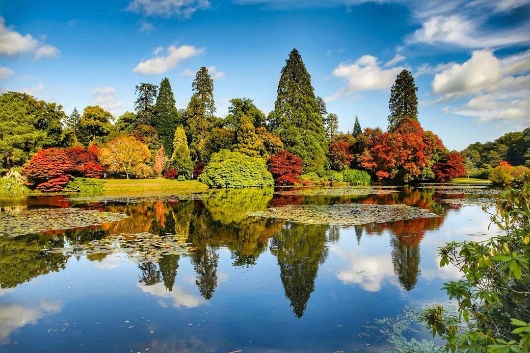 sheffieldparkNT's tweet photo. Vibrant autumn π
πΈ Thanks to @theendlesshorizon
#autumnleaves #autumncolors #fallfoliage #autumnvibes #fallcolors #fallleaves #autumninuk #ukautumn #ukfall #autumnuk #ukautumnvibes #ukautumnleaves #autumnphotography #fallphotography #nationaltrust #southeastnt #sussex https://t.co/kfuIPslkUc