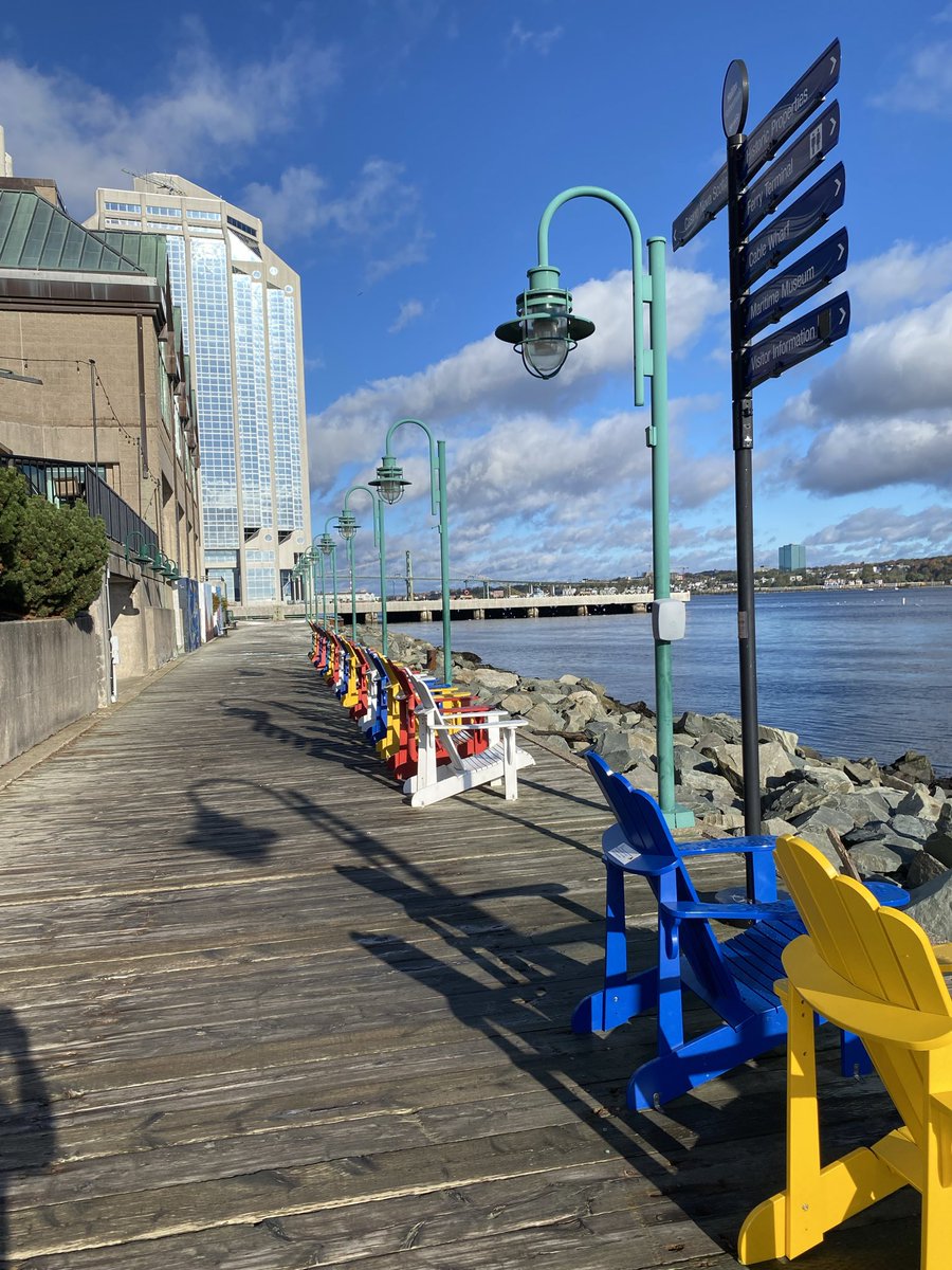 Bruce Williams tweet media