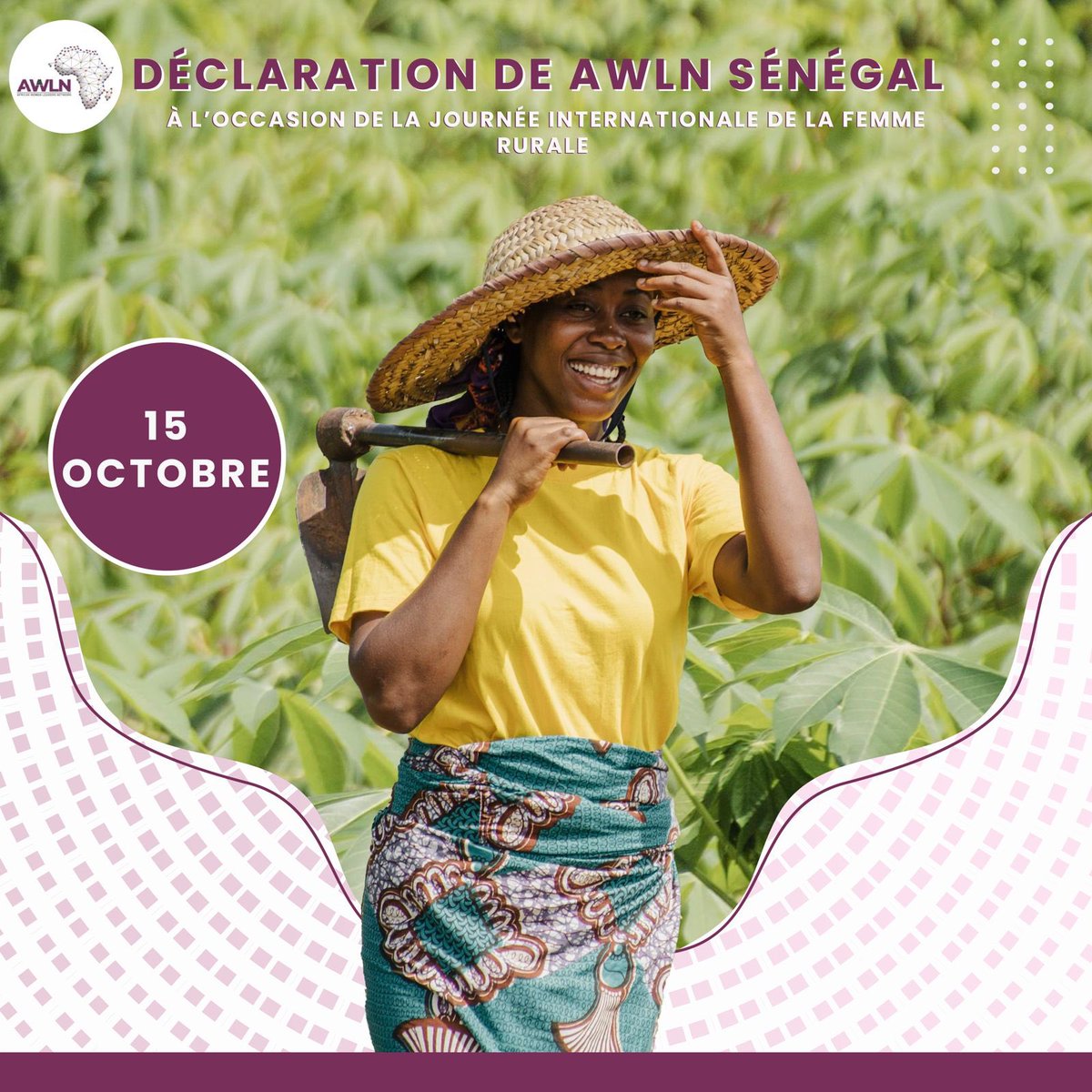 AWLN Chapitre Sénégal🇸🇳 tweet media