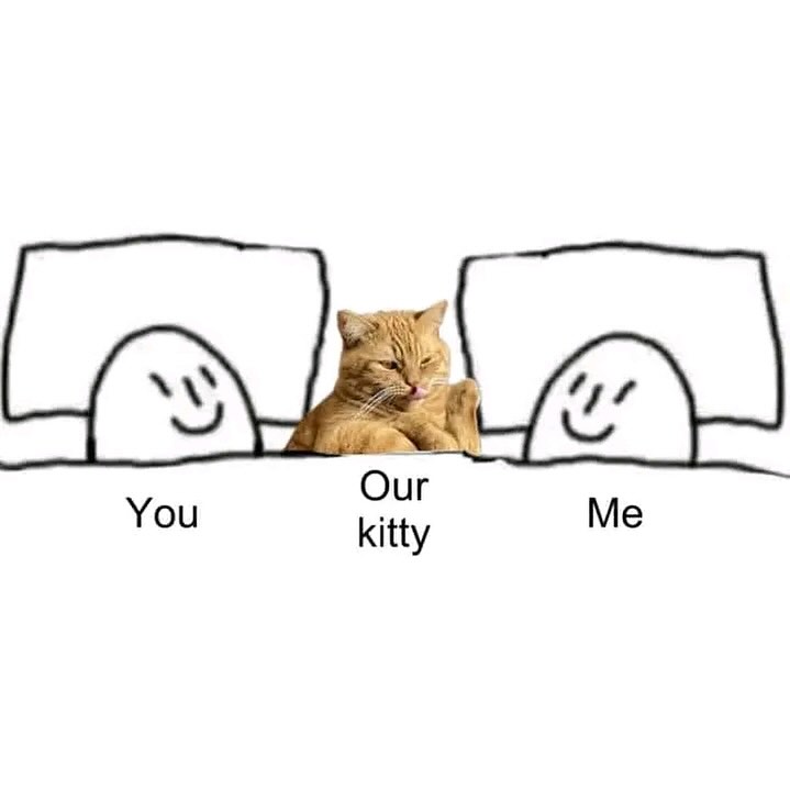 PunchingCat's tweet photo. https://t.co/1alxJ2iXEd
