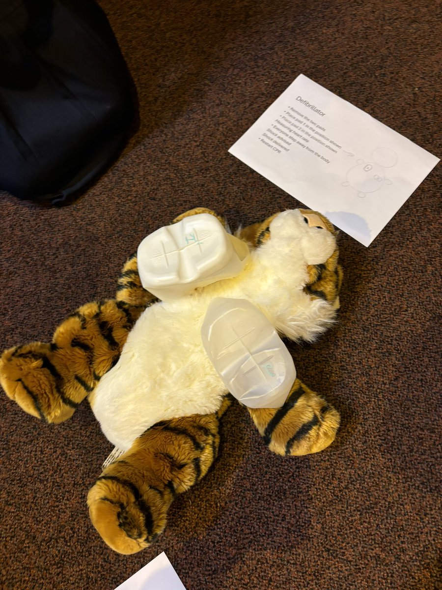 We took part in #RestartAHeart day with <a href="/airambulancekss/">Air Ambulance Charity Kent Surrey Sussex</a> &amp; <a href="/Guiding_LaSER/">Girlguiding London and South East England</a>. We learnt how to look for dangers before approaching a casualty, call an ambulance, do CPR &amp; use a defibrillator. 

#InYourHands