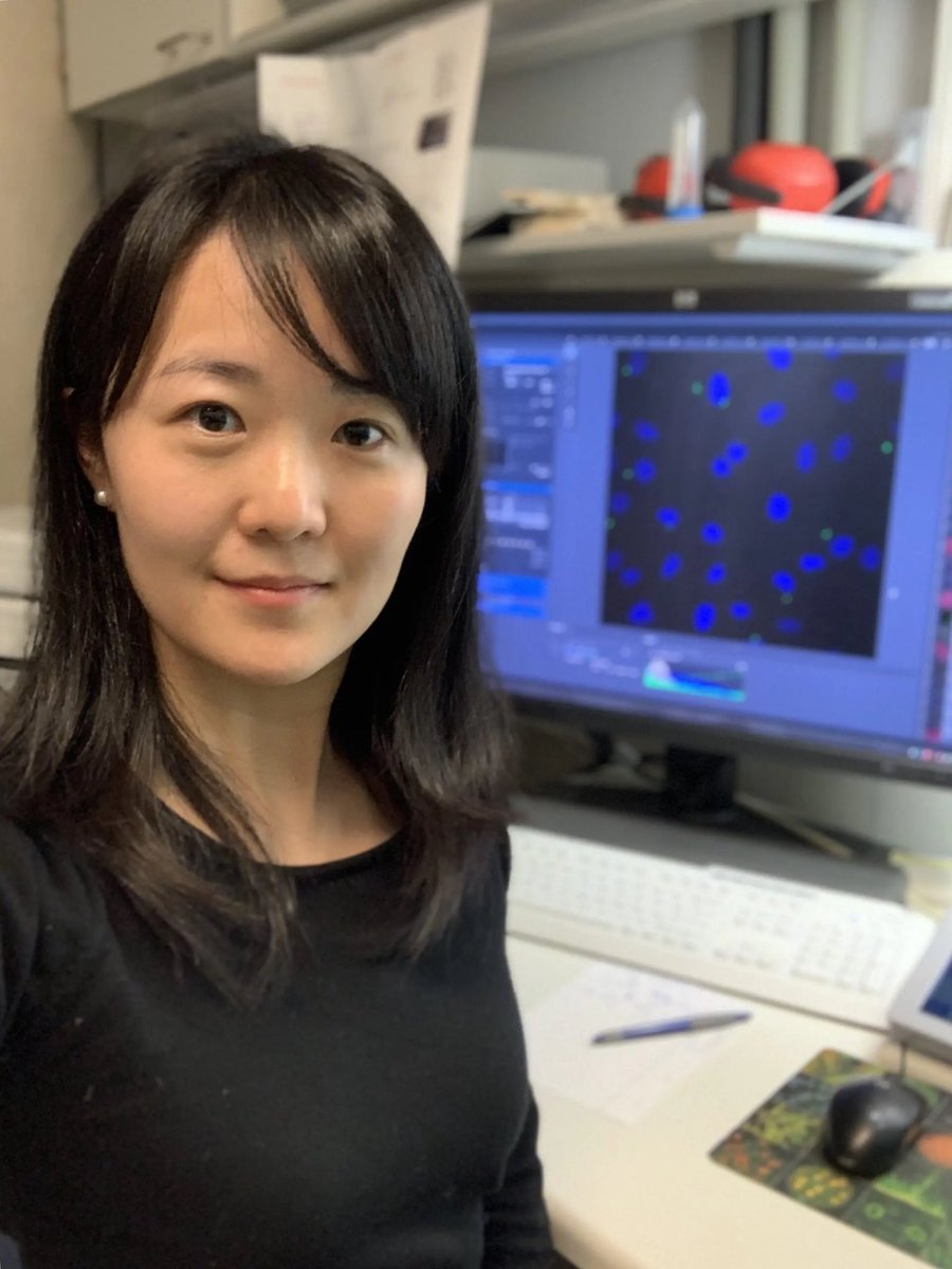 Herold Lab (@heroldlab) on Twitter photo Our team would like to welcome Xin Du, M.D., Ph.D., from the Department of Pediatrics at the University of California San Diego, as a guest scientist in Winstel Lab 🥼
Welcome, Xin 🥳
<a href="/UCSDHealth/">UC San Diego Health</a> Our team would like to welcome Xin Du, M.D., Ph.D., from the Department of Pediatrics at the University of California San Diego, as a guest scientist in Winstel Lab 🥼
Welcome, Xin 🥳
<a href="/UCSDHealth/">UC San Diego Health</a>