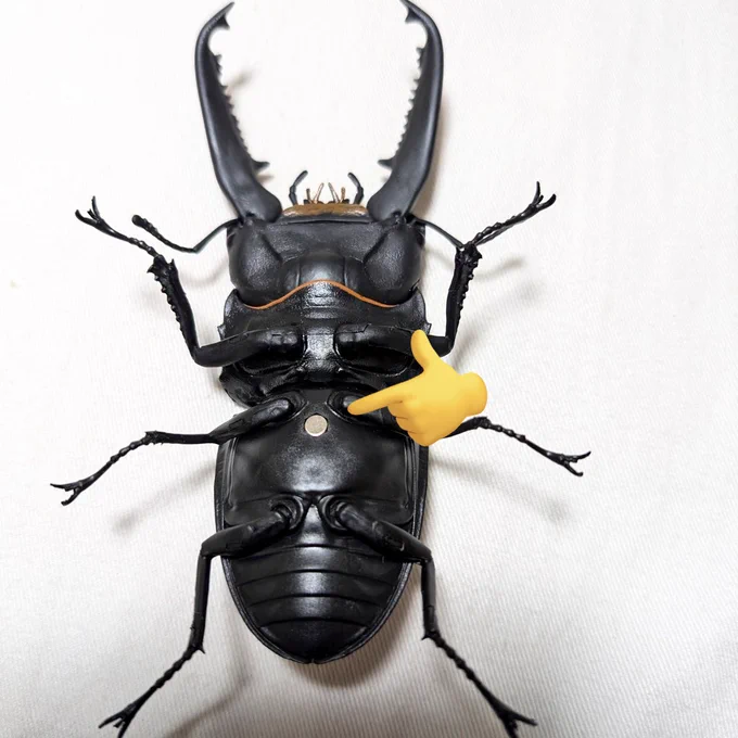 昆虫フィギュアの腹部の穴にΦ4mmの磁石を挿入して鉄の部分に自由にくっ付けられるようにした。腹部の穴はスタンドに取り付ける用なんですが磁石で埋めてしまった。穴があるとしっかりとハメたくなる衝動に駆られませんか? 