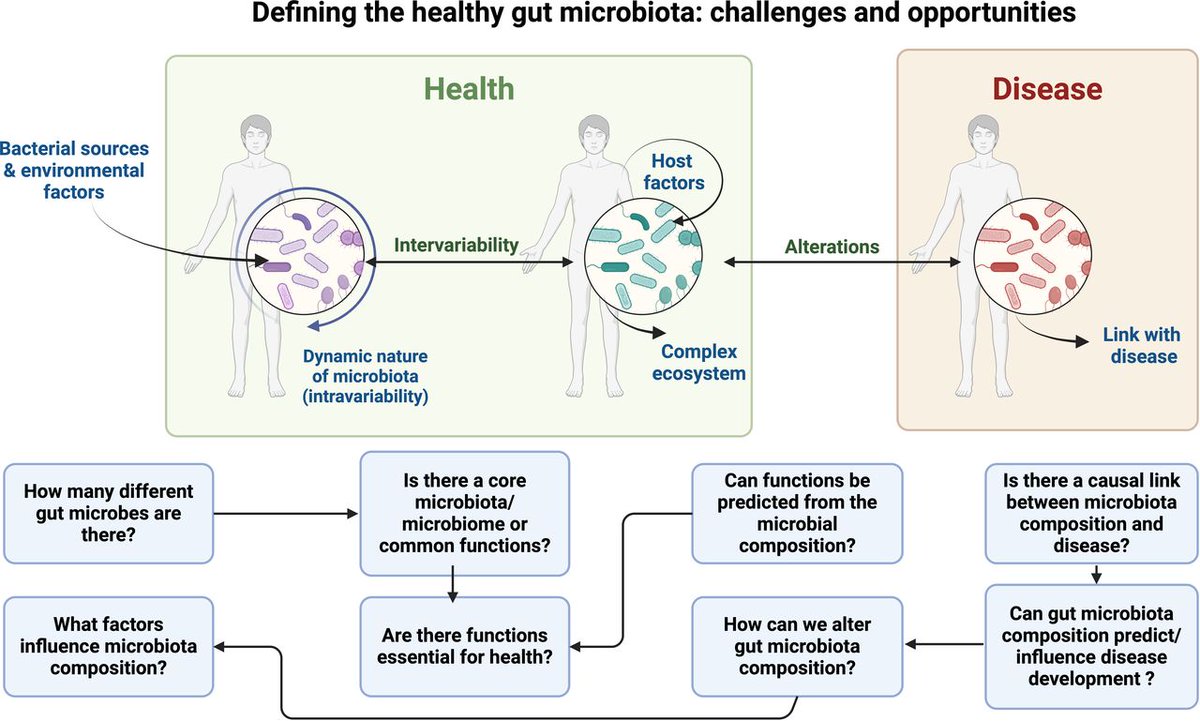 Gut Journal (@gut_bmj) on Twitter photo #GUTImages from the #RecentAdvancesInBasicScience paper by Van Hul, Cani et al on
"What defines a healthy gut microbiome?" via
bit.ly/4gNlBY0
#Microbiome <a href="/emadelomar/">Emad El-Omar</a> #GUTImages from the #RecentAdvancesInBasicScience paper by Van Hul, Cani et al on
"What defines a healthy gut microbiome?" via
bit.ly/4gNlBY0
#Microbiome <a href="/emadelomar/">Emad El-Omar</a>