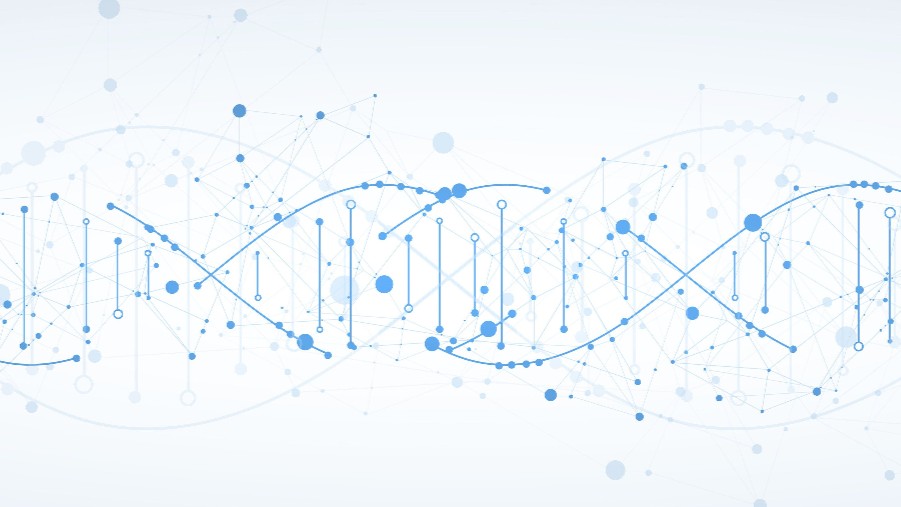 CU Department of Biomedical Informatics (DBMI) (@cubiomedinfo) on Twitter photo De novo mutations lead to unique genetic variations when DNA is copied. Explore how <a href="/hdashnow/">Dr Harriet Dashnow</a>, PhD, and researchers at <a href="/CUMedicalSchool/">CU School of Medicine</a>, <a href="/UUtah/">University of Utah</a>, <a href="/UW/">University of Washington</a>, and <a href="/PacBio/">PacBio</a> are using long-read data sequencing to analyze more repetitive and complex genome regions ▶️ bit.ly/4eMYdIE De novo mutations lead to unique genetic variations when DNA is copied. Explore how <a href="/hdashnow/">Dr Harriet Dashnow</a>, PhD, and researchers at <a href="/CUMedicalSchool/">CU School of Medicine</a>, <a href="/UUtah/">University of Utah</a>, <a href="/UW/">University of Washington</a>, and <a href="/PacBio/">PacBio</a> are using long-read data sequencing to analyze more repetitive and complex genome regions ▶️ bit.ly/4eMYdIE
