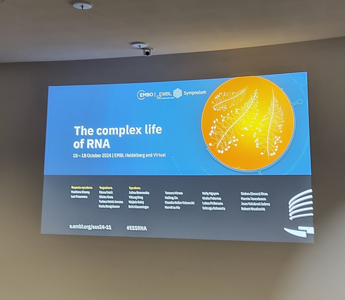 #EESRNA  "RNA is more than a simple messenger. It can act as a regulator, a switch, or even an enzyme. It holds many of biology's secrets." C.Venter