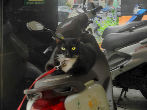 kawakamitakeru.wixsite.com/photograph                                    #Taipei #Taiwan