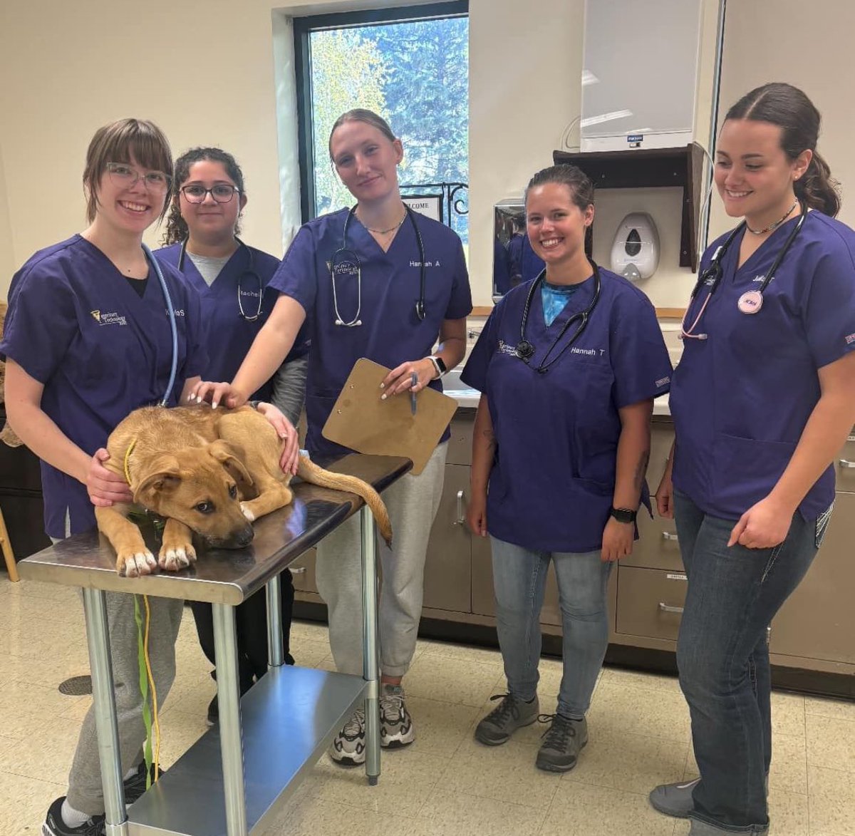 ndsucafsnr's tweet image. Happenings in the Vet Tech training zone…. Students learned about canine restraint and physical exam basics in canine patients. THANK YOU Turtle Mountain Animal Rescue for the adorable patients! 

#NDSU #NDSUCAFSNR #VetTechStudent #VeterinaryTechnician