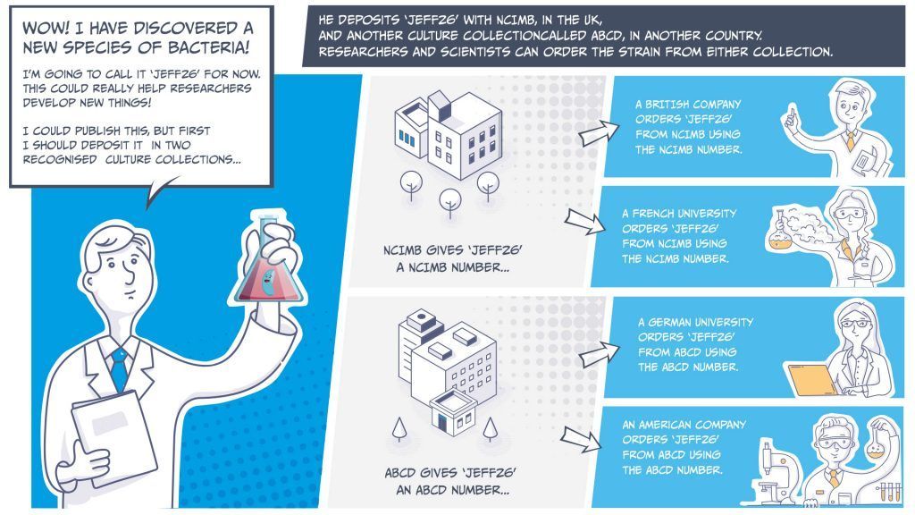 Did you know you can search the NCIMB catalogue for strains equivalent to those in other major collections? Read this blog from our culture collection curator Dr Samantha Law to learn more! We dispatch most orders within one working day 🚚🦠👩‍🔬 buff.ly/4cGyJf6
