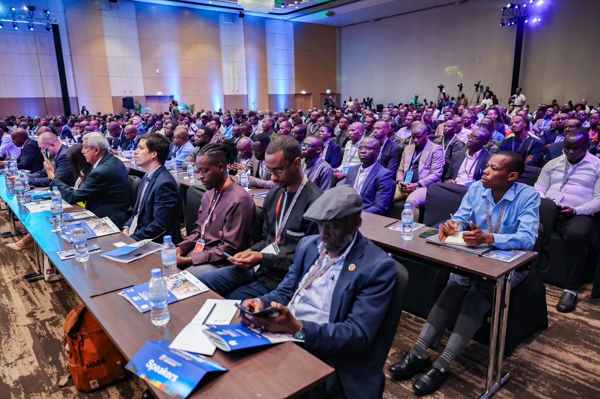 Distory Communications tweet media