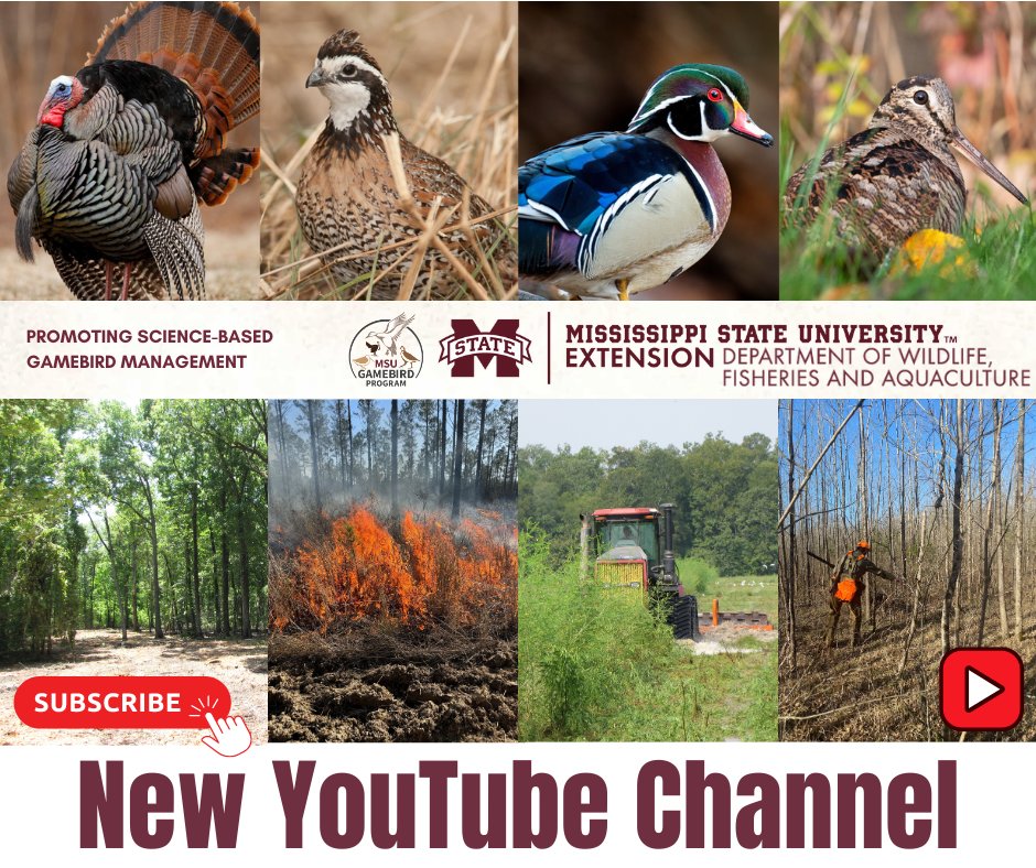 James Callicutt tweet media