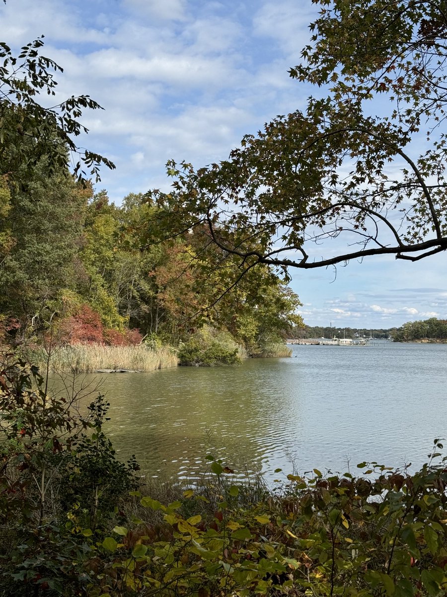 Adding a bit of fall color to your feed today! ⁦<a href="/SmithsonianEnv/">SmithsonianEnv</a>⁩
