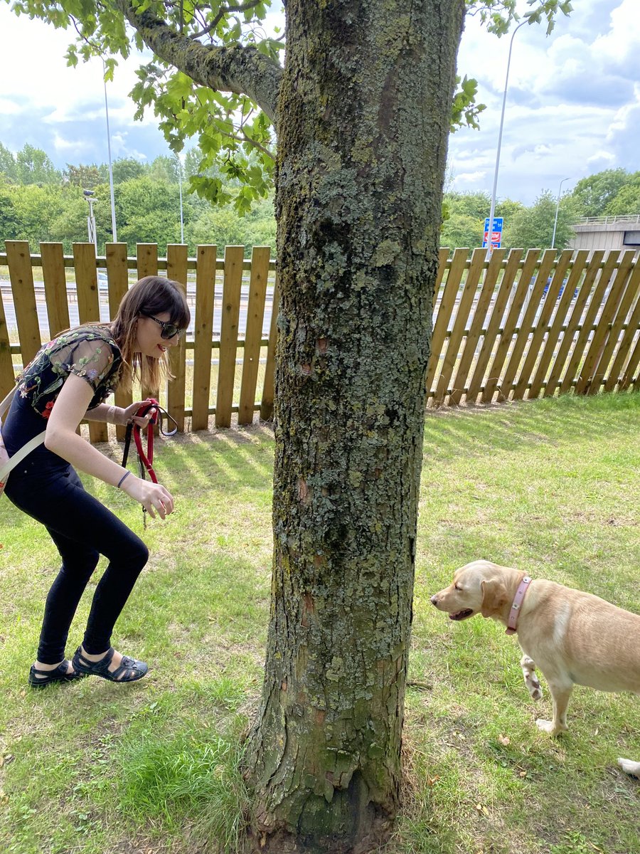 Fern Lulham (@missfernlulham) on Twitter photo If only I loved to run as much as Nancy does!
At 8.40pm on <a href="/BBCRadio4/">BBC Radio 4</a>, we clear up the confusion surrounding what's happening to the service <a href="/guidedogs/">Guide Dogs</a> provides to ensure your working dog gets some well-earned playtime!
bbc.co.uk/programmes/m00…
#GuideDogs
#Partnership
#PlayTime If only I loved to run as much as Nancy does!
At 8.40pm on <a href="/BBCRadio4/">BBC Radio 4</a>, we clear up the confusion surrounding what's happening to the service <a href="/guidedogs/">Guide Dogs</a> provides to ensure your working dog gets some well-earned playtime!
bbc.co.uk/programmes/m00…
#GuideDogs
#Partnership
#PlayTime