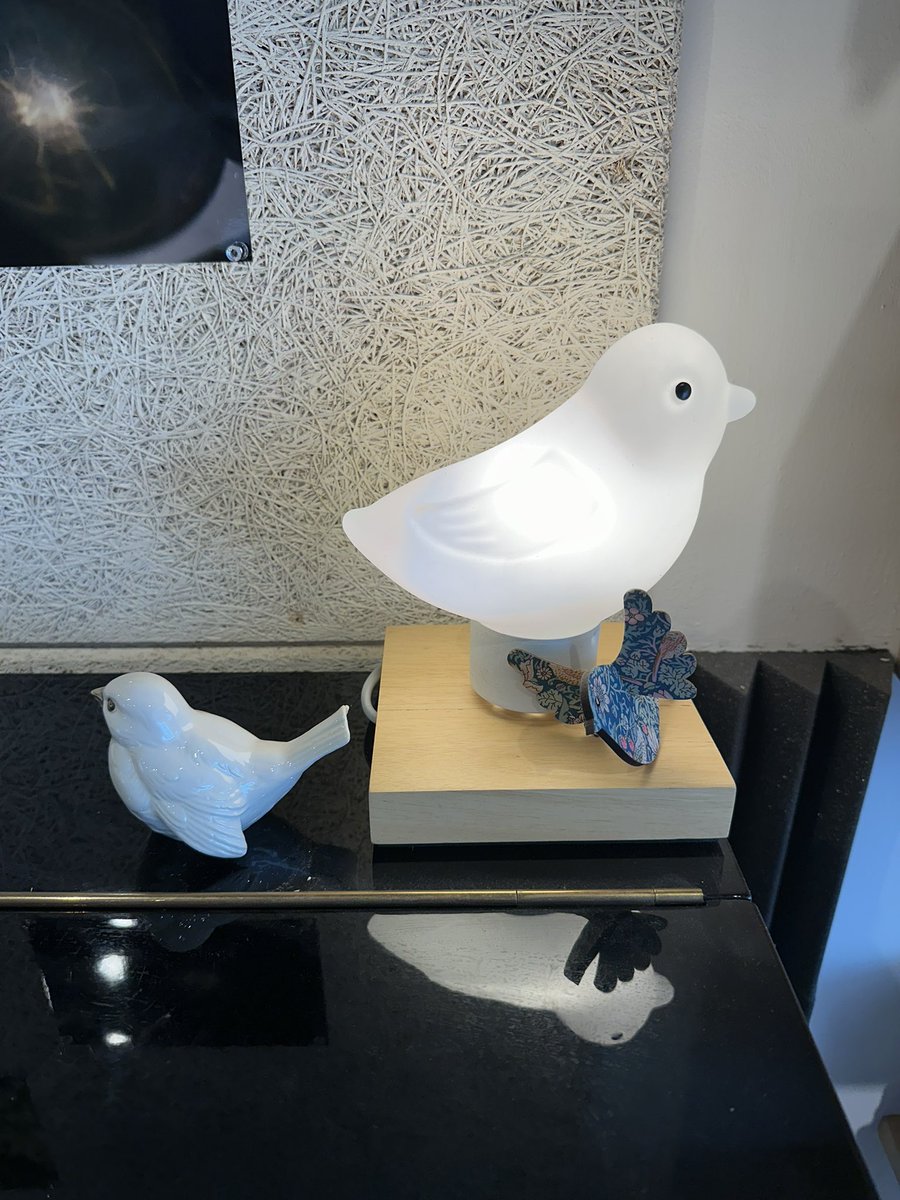 ㅎㅎㅎㅎㅎㅎ 한강작가님책방 갔을때 예전에 찍었던건데 이제생각남 호호 #아가새  💚