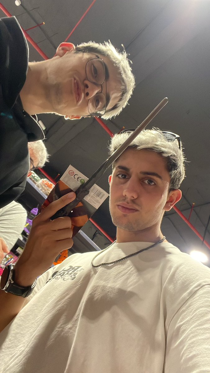 Harry popoter y su siervo Dobby