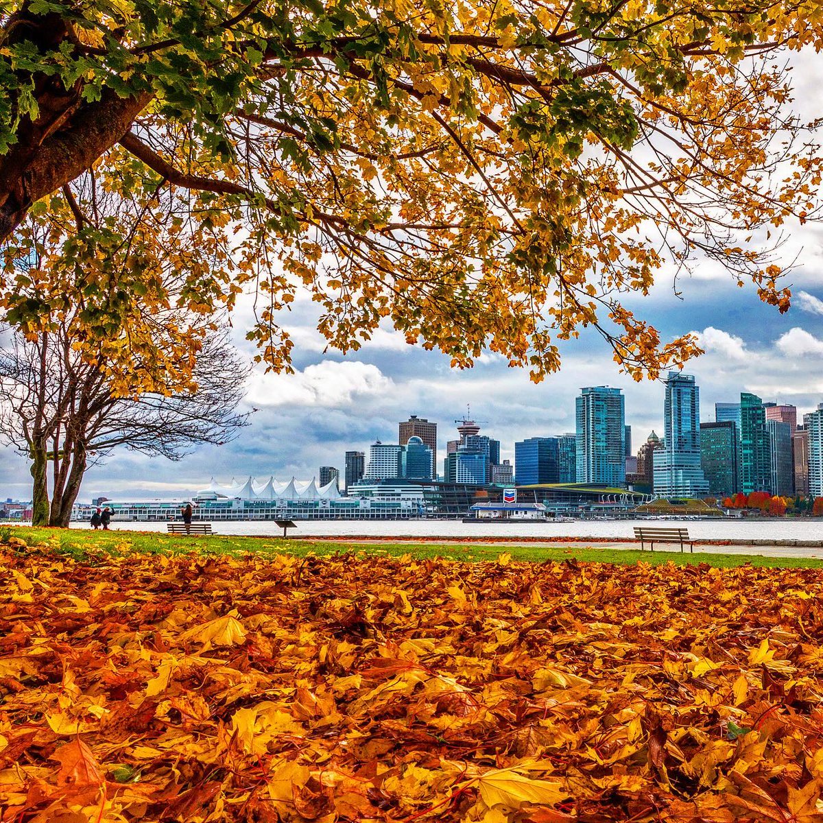 Ven a descubrir el otoño en Vancouver mientras recorres su malecón en bicicleta! 🍂🚴‍♀️ Aire fresco, paisajes increíbles y una experiencia que no te puedes perder.
📸: @anninbc2000 (Instagram) 
#VeryVancouver