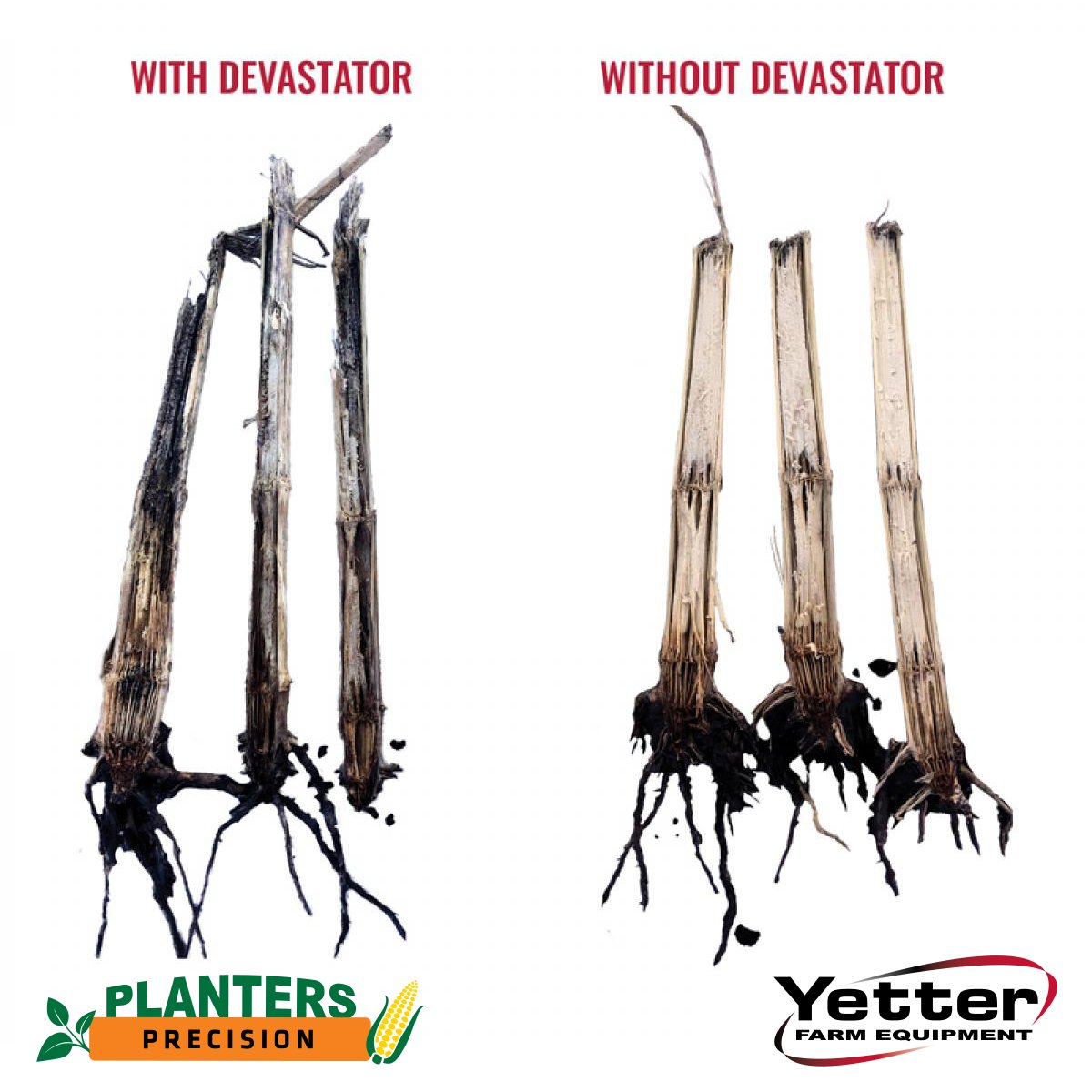 The Yetter Stalk Devastator works beyond tire protection by also helping accelerate residue breakdown to help improve field conditions for next season. Contact us today to learn more! 🌽
plantersprecision.com/products/yette…
