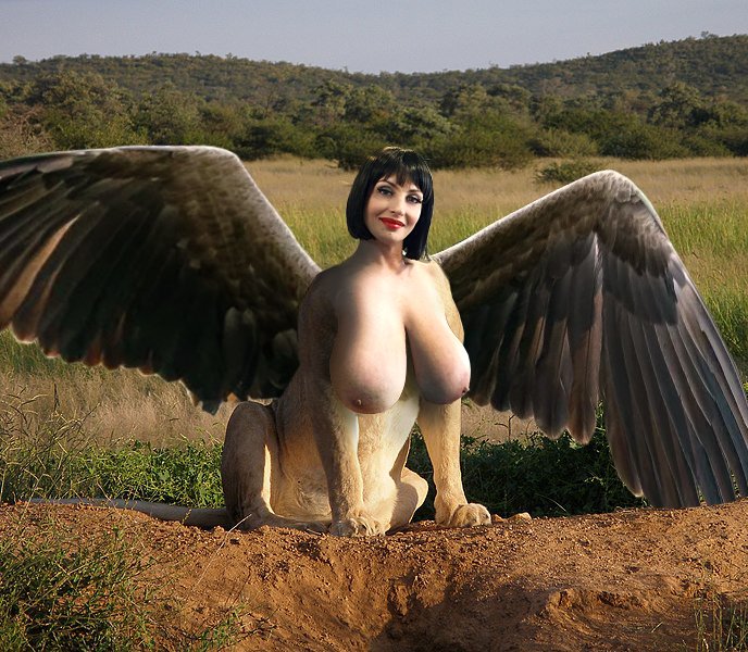 FantasyBeautyProductions tweet media