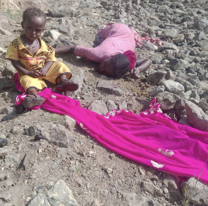 Imagine the trauma this little child of 2 years will go through in his entire life. He was found bleeding next to his dead mother, Asbera Mohammed Nur, who had been killed on October 10, 2024, around 2:00 pm in Kebele 03, Bereket Wereda. 

There is an ongoing Genocide in the