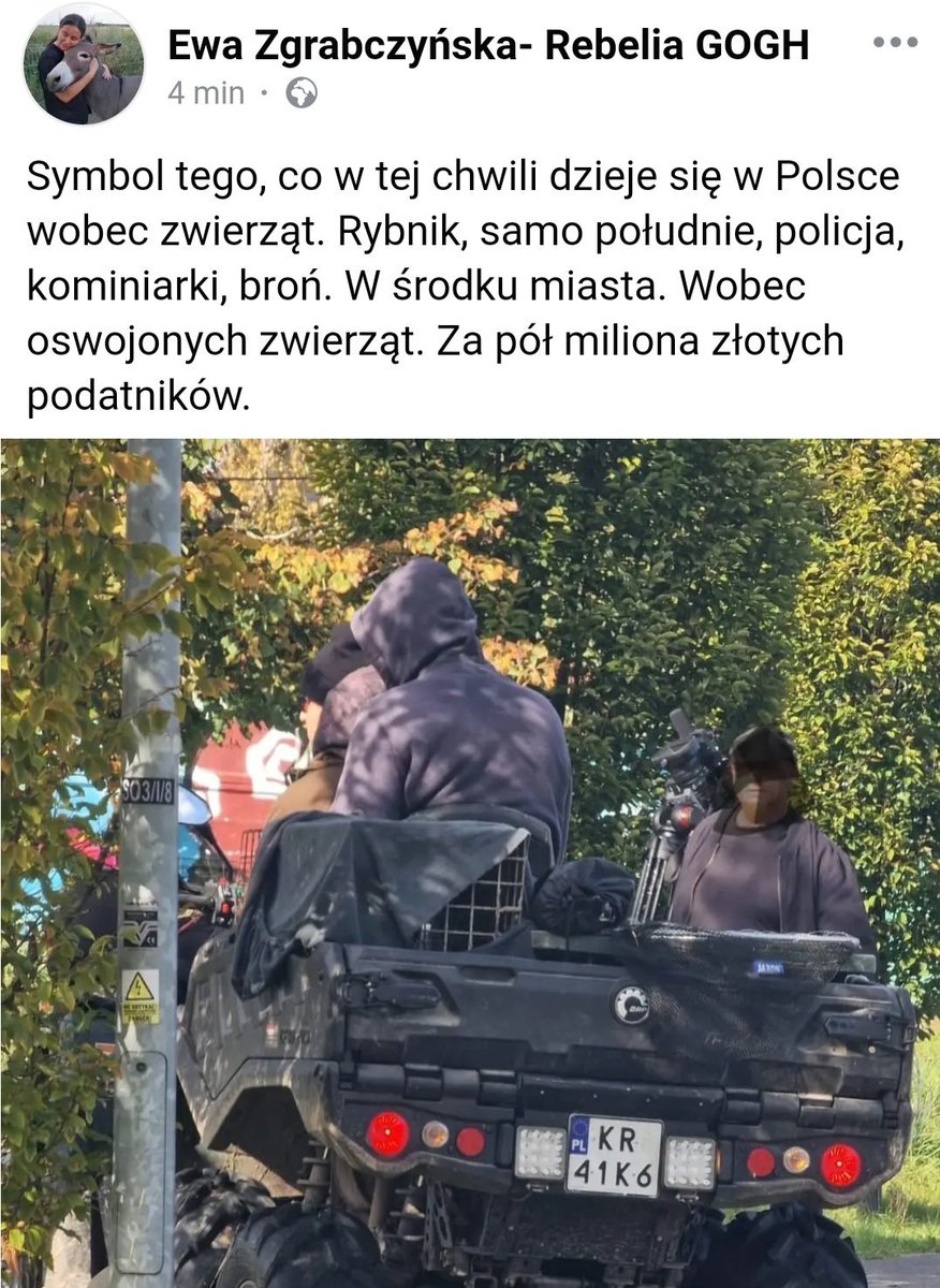 <a href="/EwaGM3/">EG</a> Nie, tylko część, którą uratowali ludzie. Pozostałe  wczoraj firma zabijała w Rybniku. ⬇️