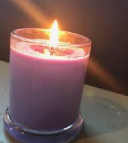 Zandra Beard tweet media