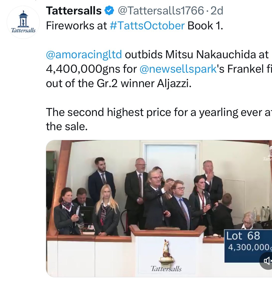 RodTrow's tweet photo. @amoracingltd spends £14.8m on 4 of the Top Ten horses from Tattersalls Yearling Sale Book 1 - 2024.

They're looking for champions/stallions/broodmares. What are the chances of success? Some analysis from 5 previous sales. #TattsO ctober
1/7 https://t.co/hMfF0AbpjV