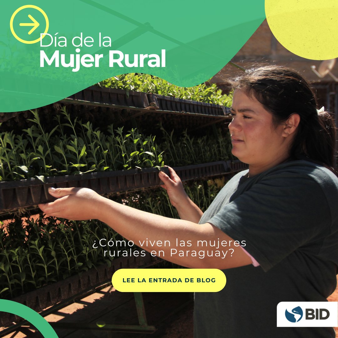 ¿Qué nos dice el último censo sobre las mujeres rurales y agropecuarias en Paraguay? 

Encuentra aquí los hallazgos: bit.ly/4h0VgWE

#DíaDeLaMujerRural
