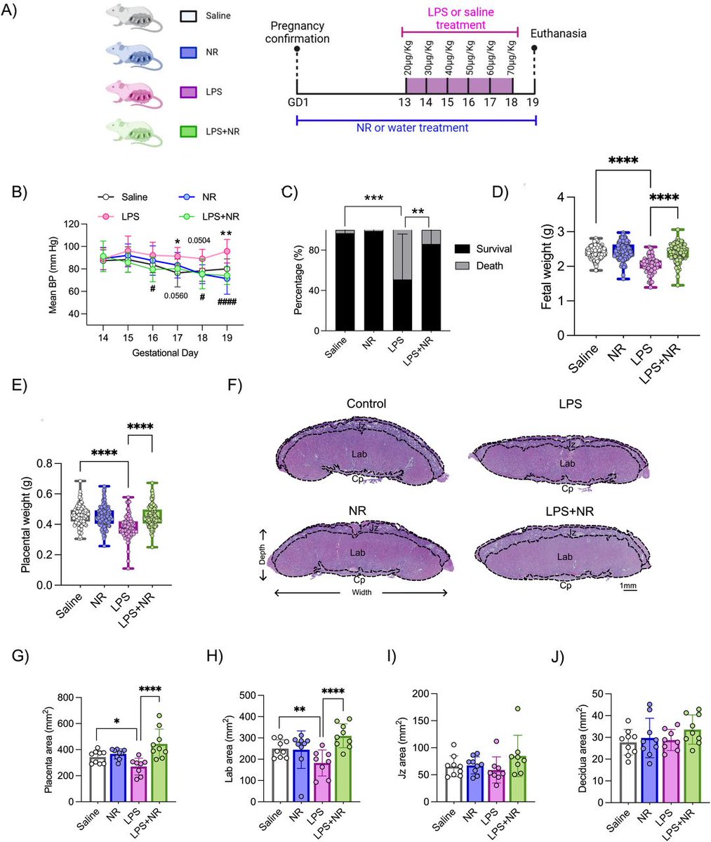 Keir Joe Menzies tweet media