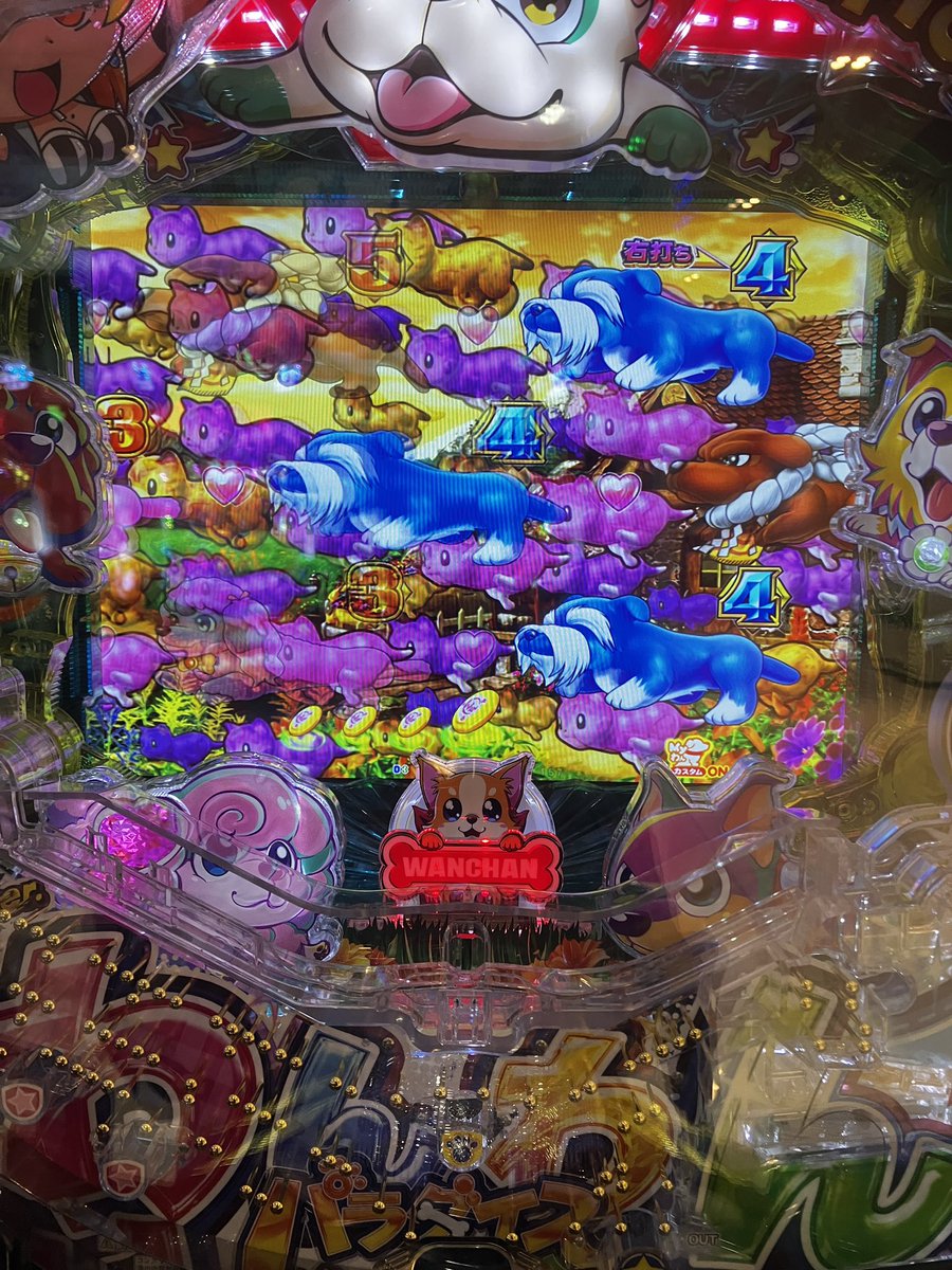 たぬ吉 (@tanukic16561125) / X