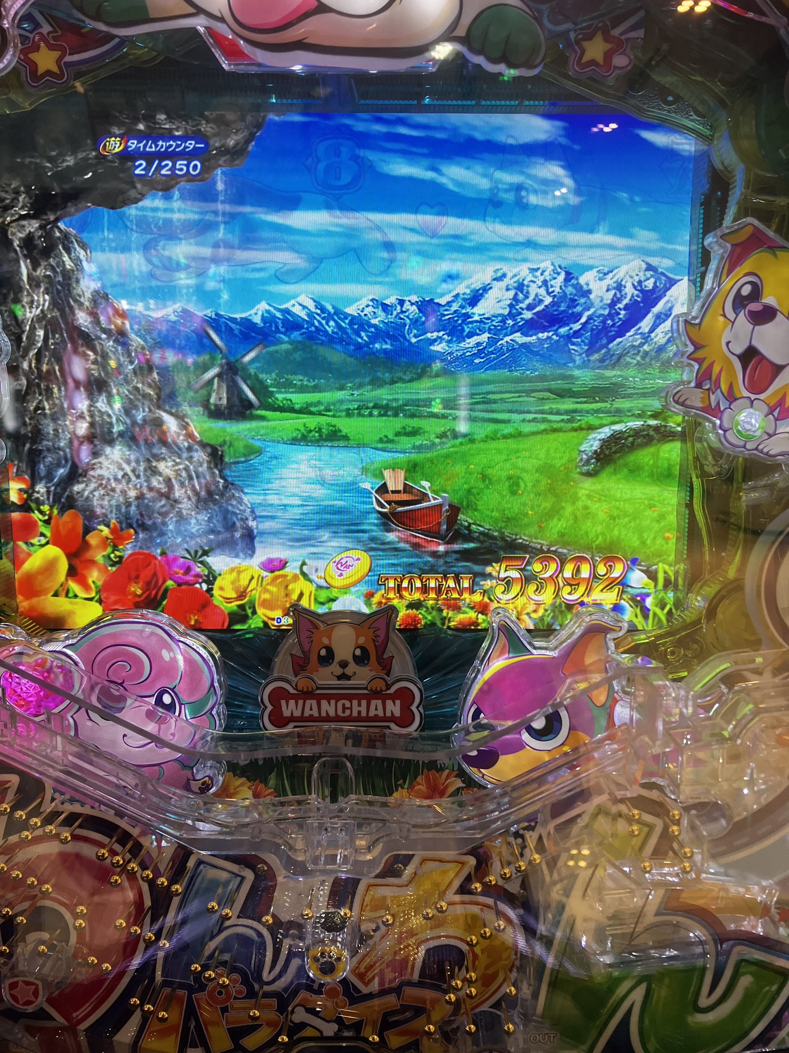 たぬ吉⭐︎ 00153518_main.jpg?v=