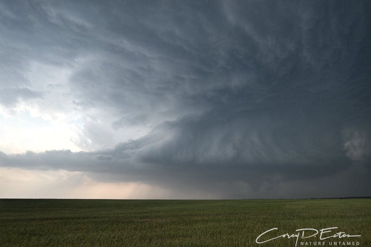 Desperately need some more of this…