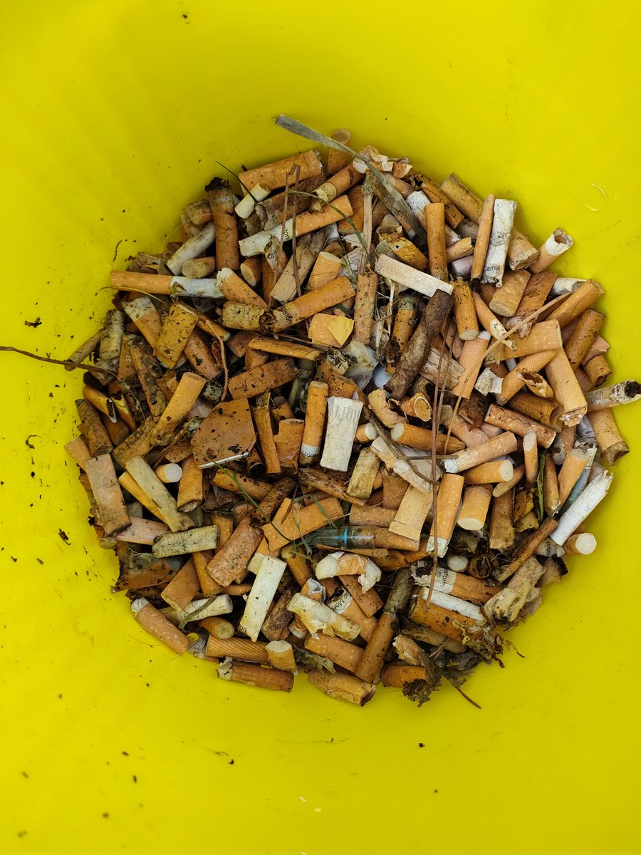 Lycée Audiberti ANTIBES @académieNice @maregionsud tweet media