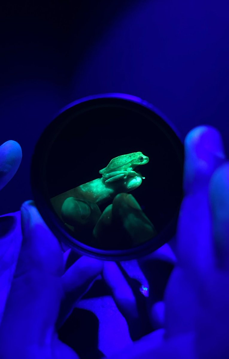 Courtney Whitcher tweet media