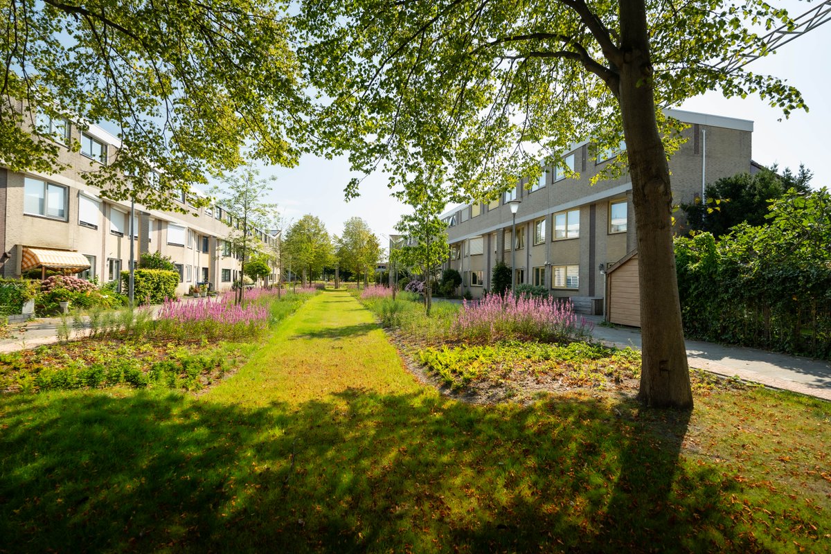 🌳Vergroeningsproject Hans de Riesstraat is genomineerd als Nederlandse kandidaat voor de Green Cities Europe Awards. Uit 4 projecten wordt er 1 gekozen die Nederland mag representeren bij de Europese uitreiking!

Stemmen kan via LinkedIn via deze link!
bit.ly/3A3xBUP