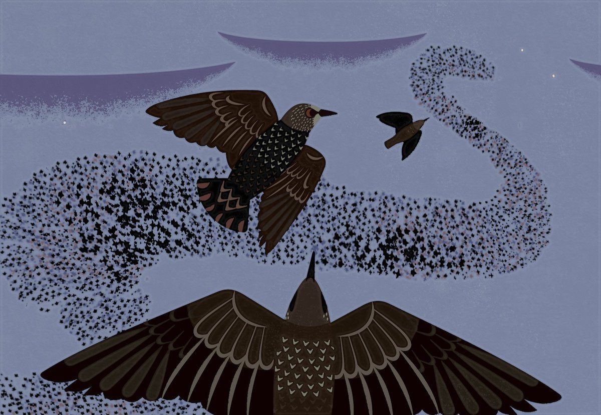 hootalex's tweet image. 