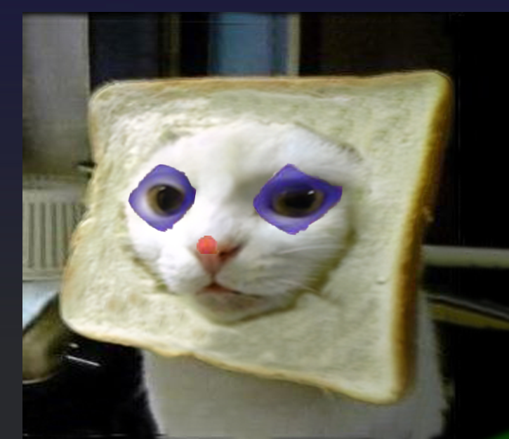 INBREDCATONSOL's tweet photo. This is what a retardio cat looks like 🍞🫵🤡😹🍞
#RETARDIO  $INBRED https://t.co/ueZkmqdVnq